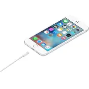 Apple 1m Lightning to USB 2.0 Cable
