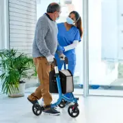 Costway Aluminium Foldable 3-Wheel Rollator Walker with Zippered Storage Bag ...