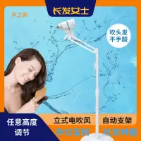 在飛比找蝦皮購物優惠-懶人支架 吹風機立架 吹風機固定架 寵物吹毛架立式吹風機自動