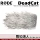 RODE DeadCat 麥克風防風毛罩 NTG-1 NTG-2 VideoMic / Podcast 播客 廣播 直播 錄音室 電台