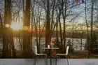 3D Sunshine Forest Lake Wallpaper Wall Murals Removable Wallpaper 138