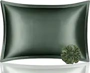 DISANGNI 100% Mulberry Silk Pillowcase for Hair and Skin, Envelope Type, Silk Pillowcase one Side Real Silk Pillowcase (1pc Standard Size 20"x26" Green)
