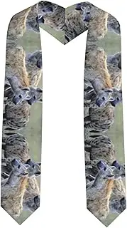 [EdWal] Animals Hyena print Graduation Stole and Sash Class for Unisex Adult Honor Stole Honor Stole of 2025