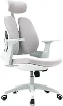 Ergonomic Office Chair Ergonomic Office Chair High Back, Rolling Desk Chair, Executive Swivel Chair with Adjustable Armrest, Lumbar Support and Headrest Desk Chair(Gray)