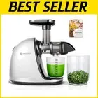 Silent Slow Masticating Juicer with Reverse Function and Nutrient-Rich Recipes