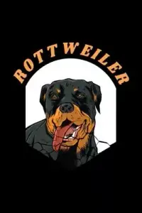 在飛比找博客來優惠-Rottweiler Notebook: Beautiful