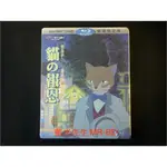 [藍光先生BD] 貓的報恩 THE CAT RETURNS BD + DVD 雙碟限定版 ( 得利公司貨 )