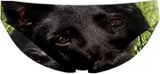 [VBFOFBV] Men's Printed Jammer Swimsuit Swim Shorts, Animal Cat Couple Galaxy Purple