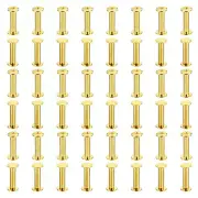 50 Sets Chicago Screws, M5x20mm Brass Plated Chicago Screw Phillips, Golden