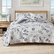 Great Bay Home Twin/Twin XL 100% Cotton Quilt Set with Shams - Reversible Coastal Prints - Lightweight, Breathable, All-Season Bedding - 2-Piece Twin Bed Set, Seacoast Memories