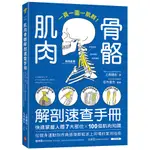 肌肉骨骼解剖速查手冊：一頁一圖一肌群！快速掌握人體7大部位×100個肌肉知識，從健身運動到疼痛修復都能派上用場的實用指南(上原健志) 墊腳石購物網