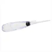 Daiwa Gekkabijin Chibi Dart 1.5inch Kira Clear