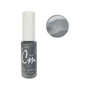 Lechat CM Nail Art Polish Lacquer Enamel Color Madnic NA26 Dark Silver 9.5ml