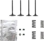 WISECO SVKB2440 Valve Kit