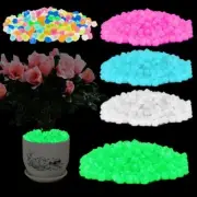 300x Luminous Glow in The Dark Pebbles Garden Glowing Rocks Fish Tank Stones USA