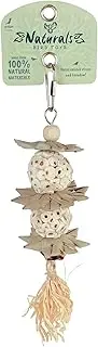 Avian Care Naturals Palm Star Balls Bird Toy, 25cm – 100% Natural Eco-Friendly Chew Toy with Palm Leaf & Raffia, for All Birds