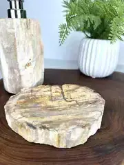 PETRIFIED WOOD DISH, Stone Soap Dish, Petrified Wood Trinket Tray, Soap Dish