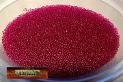 M00532-FS MOREZMORE 234L FUCHSIA GLASS 1mm Microbeads Micro Beads