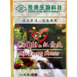 【長庚生技】COQ10&紅景天4入組(共240粒)