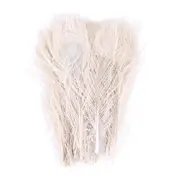 50 PCS/Natural White Peacock Feathers in the Eye, 10 to 12 Inches of the Peacock Feather Wedding De creamy white