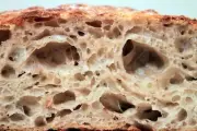 sourdough bread starter yeast from san francisco wharf dry culture active