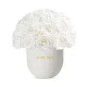 Rose Box Nyc 35 Rose Half Ball Arrangement