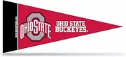 Rico Industries NCAA Ohio State Buckeyes 4-Inch by 9-Inch Classic Mini Pennant Décor