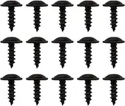 EMSea N91160401 N 90974701 M5x16mm Torx Self-tapping Screws for Car Undertrays Mudguards Wheel Arches Bumpers Grilles 25 Pcs