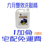 1加侖 4桶免運費 九月雙效洗髮精4000ML 白雪洗髮精 維他命E果酸洗髮精 深層潔護 雙效清洗 營業用推薦 家用推薦