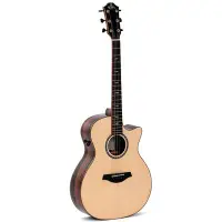 在飛比找Yahoo!奇摩拍賣優惠-Sigma GECE-3 + 新款 可插電木吉他 41吋 G