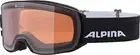 [Alpina] Ski Snowboard Goggles, Unisex, Polarized Lenses, Anti-Fog, Can Be Used