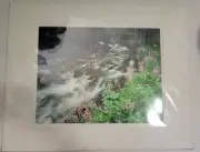 Don Ament "Running Through My Mind"Signed Matted Nature Creek Photograph 16"x20"
