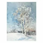 White Brich Tree Snow Art