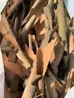 Sycamore tree bark hybrid London Plane Tree Bark, Craft Apx 2LBs 100's of pieces