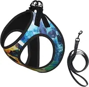 color skulls print Dog Harness and Leash Set, Reflective Adjustable Puppy Vest for Small Medium Large Dogs, Cats