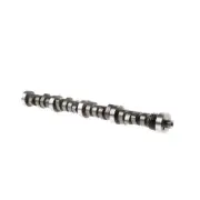 Melling 24203 Ford 289 302 Engine .497" / .473" Lift 300 / 288 Degree Perf Cam