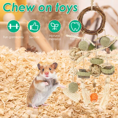 2 Pcs Rabbit Chew Toys Natural Wood Hamster Toys Set Safe Bunny Cage guMTp
