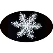 30Pack Christmas Tree White Snowflake Ornaments Party Decoration Artificial 22Cm Seasonal Decorations