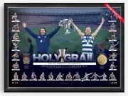 GEELONG CATS 2022 AFL PREMIERSHIP PREMIERS HOLY GRAIL FRAMED MEMORABILIA