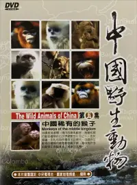 在飛比找博客來優惠-中國稀有的猴子 DVD