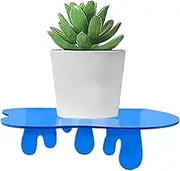 Floating Wall Shelf - Shelves for Wall Storage | Acrylic Display Shelf Organizer for Bathroom | High-Transparency Aesthetic Display Shelving for Books Plants Photo Frame Perfume