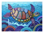 Beautiful Turtle Canvas Print