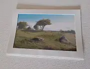 Photo Card: Druid Stone Circle Hill of Uisneach, Ireland