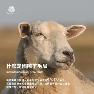 【Darphia 朵法亞】100%紐西蘭純羊毛冬被 雙人款(100%羊毛冬被 雙人)