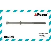 Payen Cylinder Head Bolt Set - HBS449