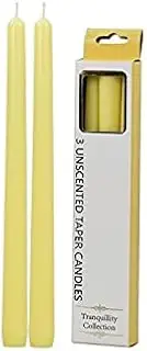 Tranquillity Collection Unscented Taper Candle 3-Pieces, Fresh Cut Pineapples