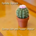 Flower Pot Shape Condiment Jar Mini Cute Salt and Pepper Grinder Set BBQ Tools