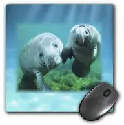 3dRose 2 Manatees looking At You MousePad