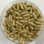 Valerian Root Extract Capsules 0.8% Valeric Acid Valeriana Pure and High Quality