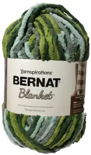 Bernat Blanket Yarn 10.5oz Skein “Forest Sage”
